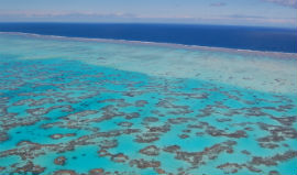 Great Barrier Reef. Credit: Jon Connell